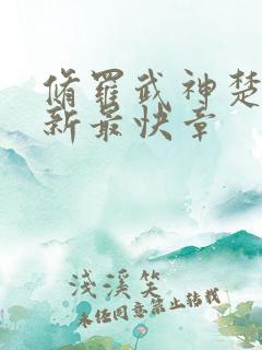 修罗武神楚枫最新最快章