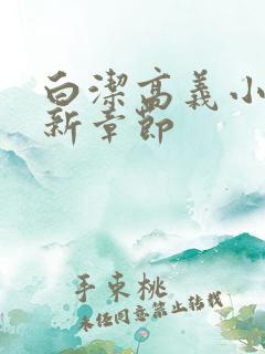 白洁高义小说最新章节