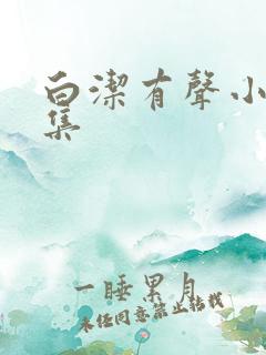 白洁有声小说全集