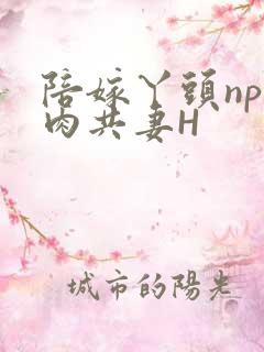 陪嫁丫头np全肉共妻H