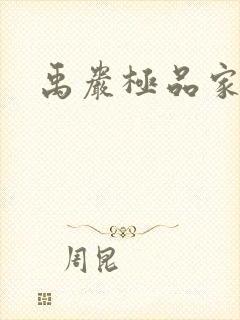 禹岩极品家丁