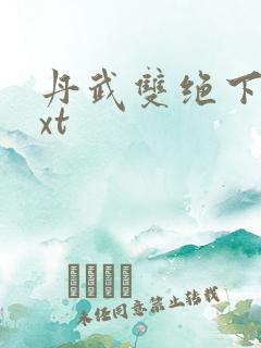 丹武双绝下载txt