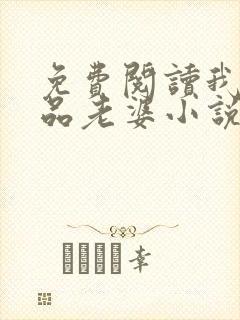 免费阅读我的极品老婆小说