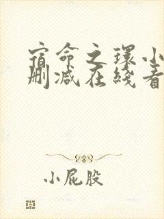宿命之环小说未删减在线看