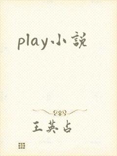 play小说