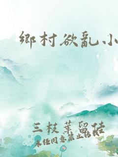 乡村欲乱小说