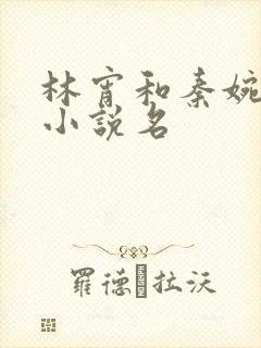 林宵和秦婉秋的小说名