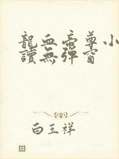 龙血帝尊小说阅读无弹窗