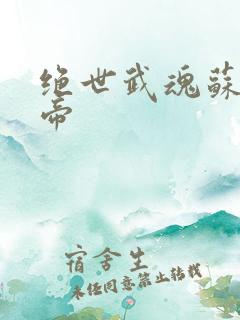 绝世武魂苏莫神帝