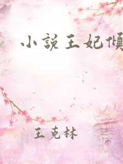 小说王妃倾城