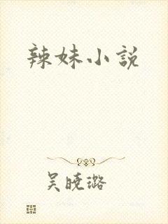 辣妹小说
