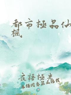 都市极品仙帝叶枫