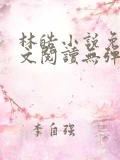 林皓小说免费全文阅读无弹窗