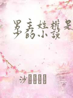 男主姓权是权二少的小说