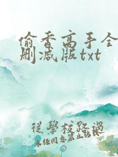 偷香高手全文无删减版txt