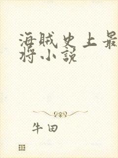 海贼史上最强中将小说