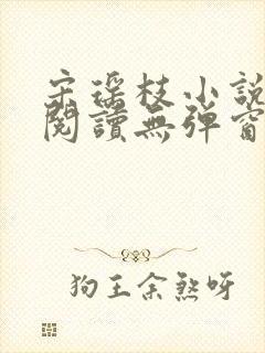 宋瑶枝小说免费阅读无弹窗最新章节