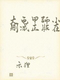 大龟甲师小说无删减正版在线阅读