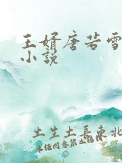 王婿唐若雪叶凡小说