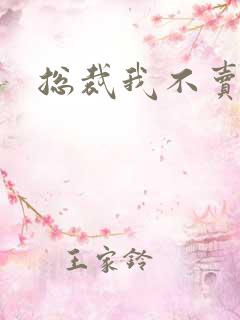 总裁我不卖宝宝
