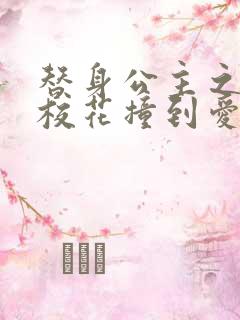 替身公主之杀手校花撞到爱
