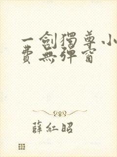一剑独尊小说免费无弹窗