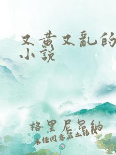 又黄又乱的乡村小说