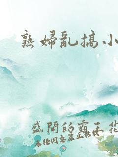 熟妇乱搞小说