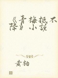 《青梅抵不过天降》小说