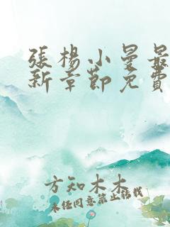 张杨小曼最新更新章节免费阅读