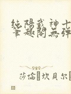纯阳武神十步行笔趣阁无弹窗