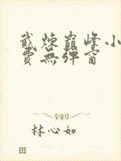 武炼巅峰小说免费无弹窗