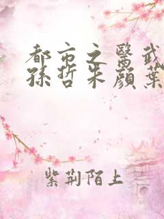 都市之医武风流孙哲朱颜叶巧