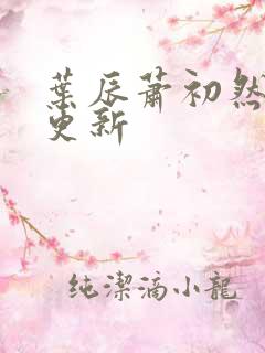 叶辰萧初然刚刚更新