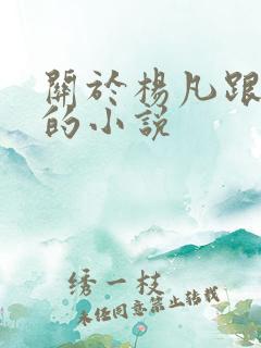 关于杨凡跟李灿的小说