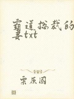 霸道总裁的挂名妻txt
