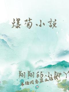 爆菊小说