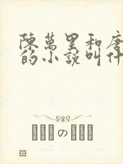 陈万里和唐嫣然的小说叫什么
