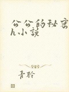 公公的秘密情事h小说