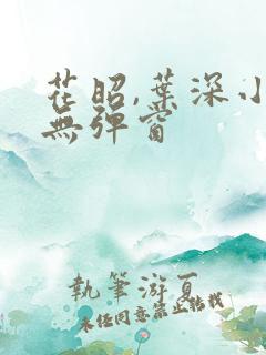 花昭,叶深小说无弹窗