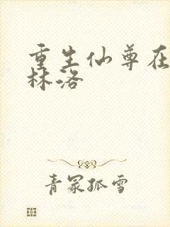 重生仙尊在都市林洛