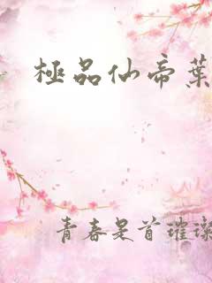 极品仙帝叶枫