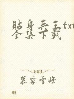 贴身兵王txt全集下载