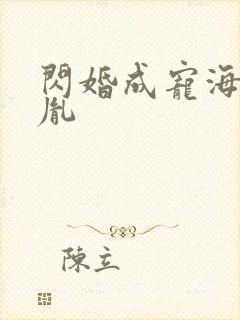 闪婚成宠海彤战胤