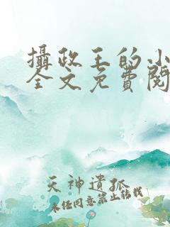 摄政王的小娇妃全文免费阅读
