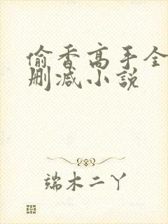 偷香高手全文无删减小说