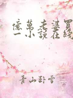 亿万老婆买一送一小说在线阅读