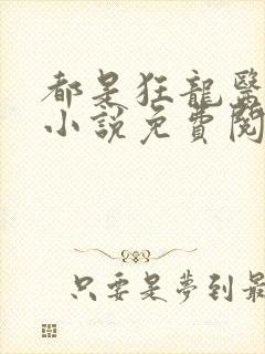 都是狂龙医仙的小说免费阅读