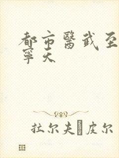 都市医武至尊 宁天