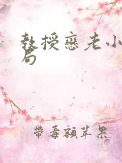 教授恋老小说结局